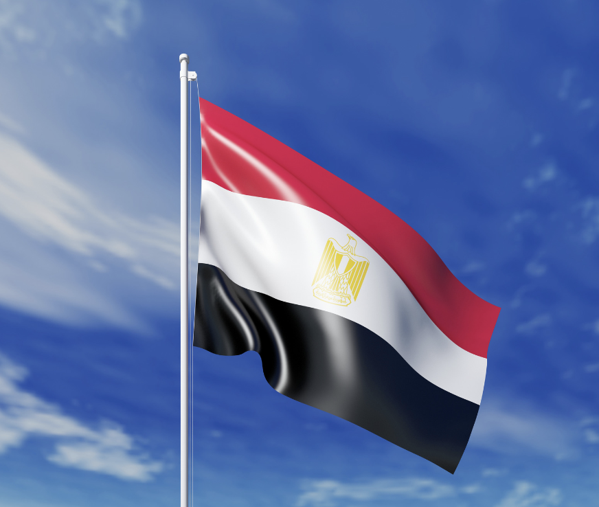 The Sisi Regime in Egypt: A Military Analogy
